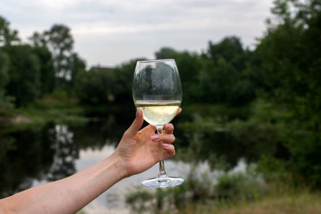 Chasselas ou sauvignon, quel blanc choisir pour quel moment Chasselas ou sauvignon, quel blanc choisir pour quel moment