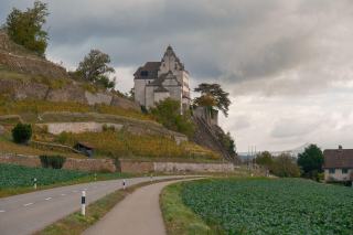 Château dominant un coteau en terrasses, route de campagne au premier plan