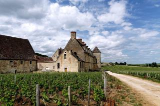 Château du Clos de Vougeot au bout d'un chemin bordé de vignes en Bourgogne