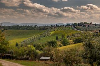 Collines toscanes couvertes de vignes, avec un village sous un ciel nuageux