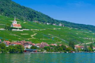Village de Gléresse et son église au milieu des vignes, au bord du lac de Bienne
