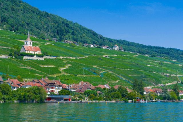 Neuchâtel, lac de Bienne et Vully : la région des Trois-Lacs Village de Gléresse et son église au milieu des vignes, au bord du lac de Bienne